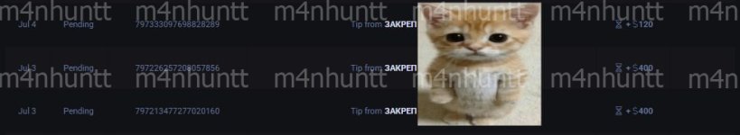 69eb5623193a7_photo_2026-04-24_14-33-37 (1).jpg