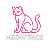 Meowtrics Agency