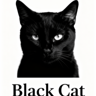 blackcatofm