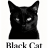 blackcatofm
